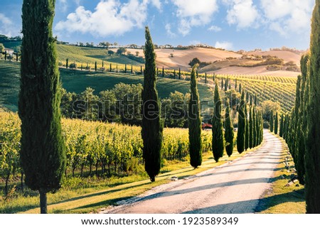 Marche countryside near Macerata, Marche region, Italy Royalty-Free Stock Photo #1923589349