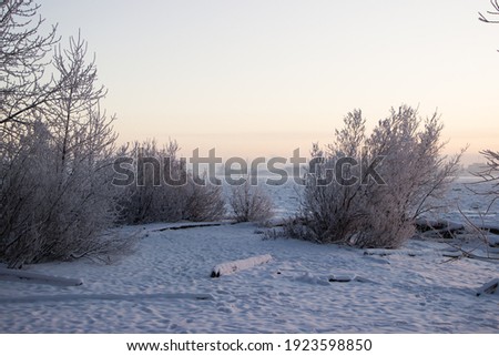 Winter landscape on the river bank
