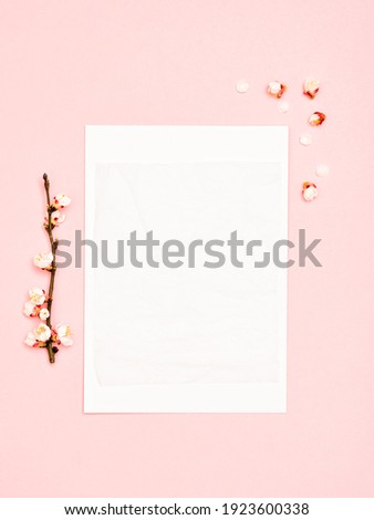 Minimalist springtime mockup. Blank greeting card on pink background with blossoming branches. Feminine still life composition. Template of spring postcard. Blossoming tree branch and space for text.