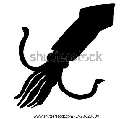 Illustration material of cute squid silhouette