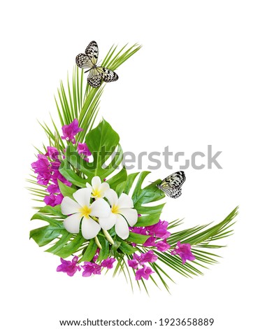 Franfipani flowers and bougainvillea with palm leaves and butterflies in a corner tropical arrangement isolated on white. Top view. Flat lay.