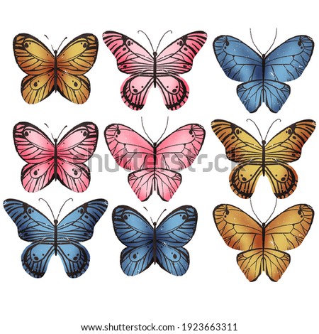 Set of vintage hand drawing butterfly. Scandinavian inspired illustration. Hand drawn clipart isolated on white background. Hand drawn clipart isolated on white background.