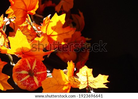 Decorative fairy lights for fall season, vivid orange yellow leaves, black background, space for text