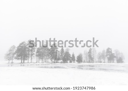 View of frozen lake, trees silhouette in background, winter landscape
