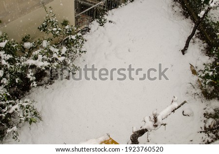 Rare pictures of Athens on a winter day, covered with snow
