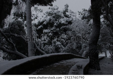 Rare pictures of Athens on a winter day, covered with snow