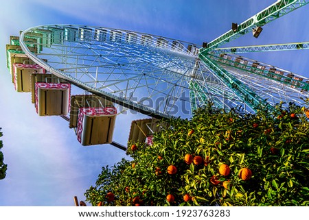 Ferris wheel in Nice, Cote d Azur, France. At the bottom of ferries wheel orange tree with ripe fruits. High quality photo