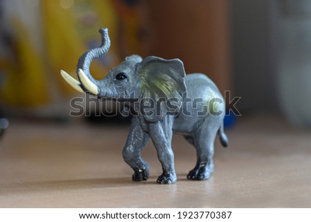 toy elephant macro picture home