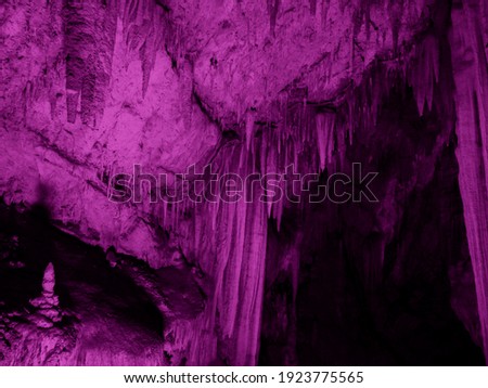 Nature elements of pink colored texture. Background for designers
