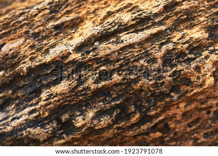Yellow stone texture, close up. Perfect natural background