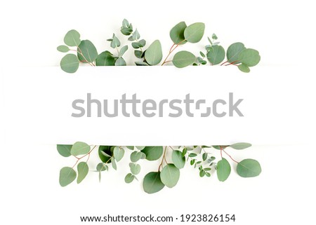 Frame made of branches eucalyptus and leaves isolated on white background. Flat lay, top view Royalty-Free Stock Photo #1923826154