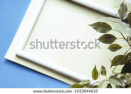 Portrait empty white wooden frame mockup on blue background and a green indoor plant in a pot