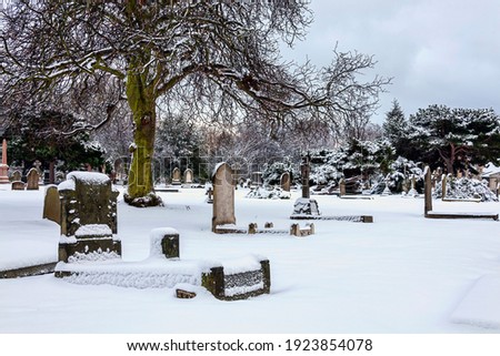 Cemetery winter cityscape with snow covered graveyard tombstone cross after a blizzard snowfall, stock photo image
