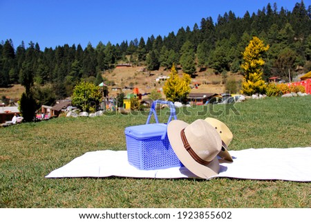 picnic basket on white tablecloth with hats. green grass and trees in forest outdoors background