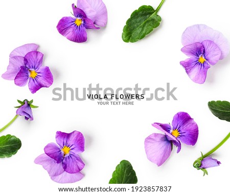 Viola pansy flower creative layout and composition. Lilac spring flowers and leaves  isolated on white background. Floral arrangement, design element. Springtime concept. Top view, flat lay 
