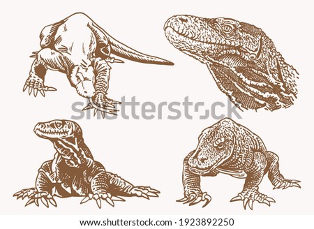 Vintage vector collection of varans, dinosaurs