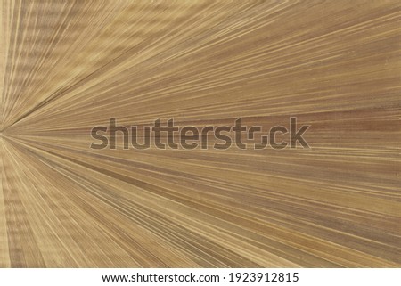 Light brown straw marquetry in starburst pattern Royalty-Free Stock Photo #1923912815