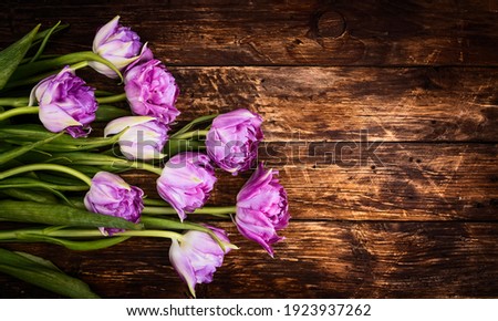 Bouquet of pink tulips on a wooden weathered vintage background. Spring flowers. Mother's Day background.