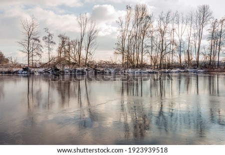 Silhouettes of tall bare trees reflected on the water and ice surface of a creek in the Dutch National Park Biesbosch. The photo was taken at the end of a sunny winter day.