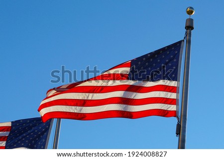 A flag blowing in the wind.
