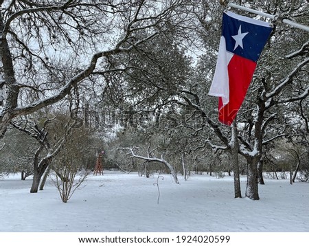 Texas flag against snowy landscape background