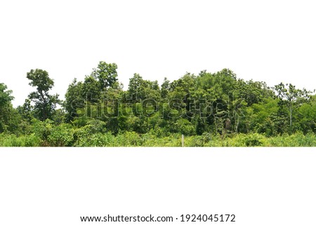View of a High definition Treeline isolated on a white background                               Royalty-Free Stock Photo #1924045172
