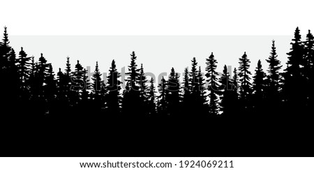 Dark forest. Natural abstract landscape background. Realistic vector illustration. Stock image. EPS 10.