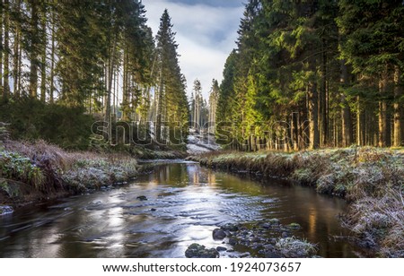 Forrest trees at autumn creek. Forests in travel Royalty-Free Stock Photo #1924073657