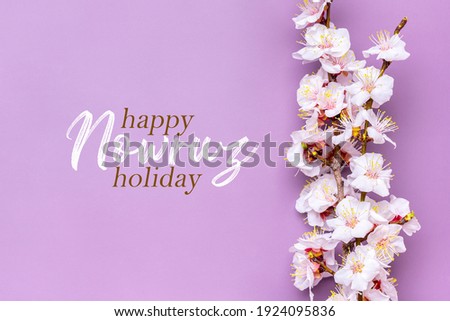 Sprigs of the apricot tree with flowers on purple background Text Happy Nowruz Holiday Concept of spring came Top view Flat lay Hello march, april, may, persian new year