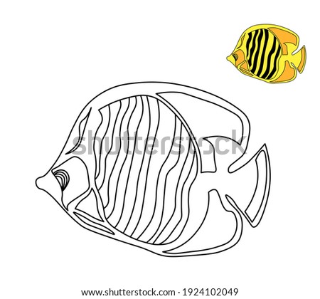 fish coloring book. Children's coloring is simple. BLACK WHITE FIGURE. ocean and sea. Marine life.