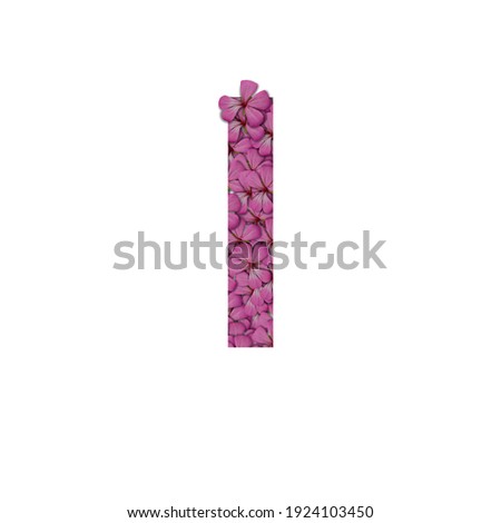 Letter C of the alphabet with photography of pink flowers. Letter C made from flowers isolated on white Photo. Alphabet symbols with flowers texture pattern