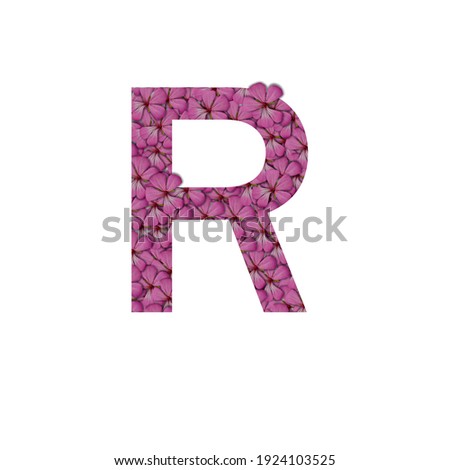 Letter R of the alphabet with photography of pink flowers. Letter R made from flowers isolated on white Photo. Alphabet symbols with flowers texture pattern