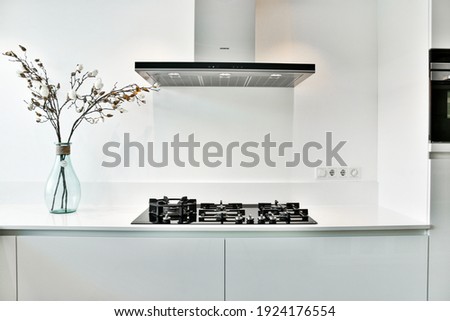 A bright luxury kitchen in elegant house Royalty-Free Stock Photo #1924176554