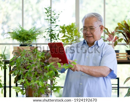 Retired grandfather use tablet computer to take a picture of a new bonsai tree. The morning atmosphere in the greenhouse planting room.