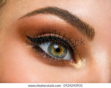 Beautiful female eye with brown, shiny makeup. Fashionable brown makeup. Macro image of a woman's eye. Royalty-Free Stock Photo #1924243931