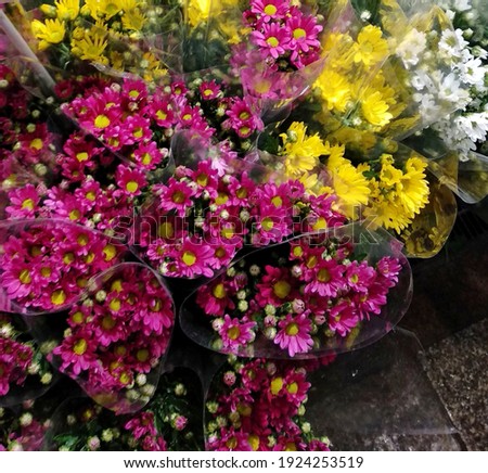 a picture of small flowers 