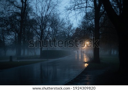 Night life on a rainy road in a city park with lanterns and trees. Dark romantic of a misty scenery. Stock photography.