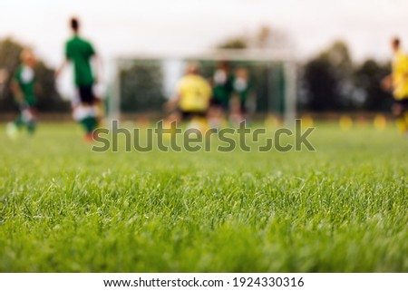 Soccer Stadium Field. Training Field in the Blurred Background.. Grass Football Pitch. Kids Playing Sports. Football Blurred Background Royalty-Free Stock Photo #1924330316