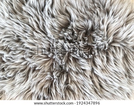 Close up view of gray rug or long hair carpet for texture and background