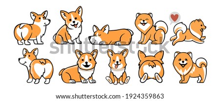 Dogs corgi and spitz big set. Cute dogs in different poses
