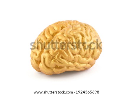 Human golden brain model on white background with clipping path