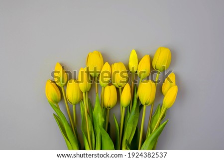 Yellow tulips on gray background. Trendy Color of Year 2021. Illuminating Yellow and Ultimate Gray. Copy space. Creative minimal flower concept.