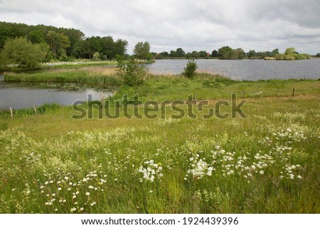 rural landscape near the river IJssel with lakes, meadows and nature land Royalty-Free Stock Photo #1924439396