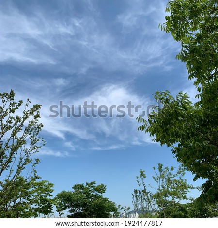 Clear sky photo, cloud, natural harmony, clear landscape editing, good to use as an image source