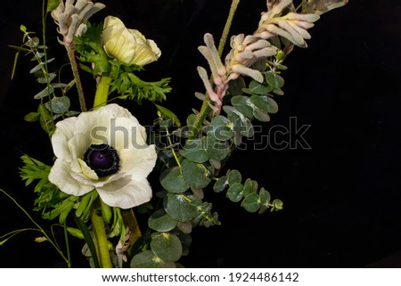 Bouquet of kangaroo paw and anemone flowers on the black background