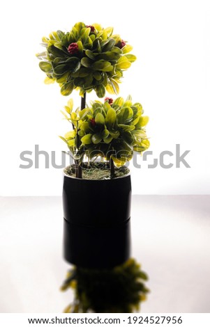Cute artificial bonsai plant to use as a desk enhancer