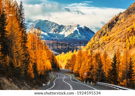 Autumn landscape. View of the Chui tract, autumn taiga, north Chuysky ridge, snow-capped mountain peaks. Altai Republic, Russia Royalty-Free Stock Photo #1924595534