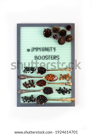 Immunity boosters concept. Herbal supplements and dried berries to boost immunity. Elderberry, echinacea, juniper, sea buckthorn, Chinese Schisandra and barberry in spoons. Royalty-Free Stock Photo #1924614701