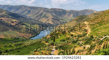 Scenic view of Alto Douro Vinhateiro, Tua Valley in Portugal. Royalty-Free Stock Photo #1924623281
