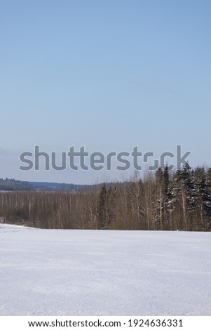Winter landscape on a sunny day. Forest and field, pine and spruce trees in the snow, bright blue sky. Panorama background for design.